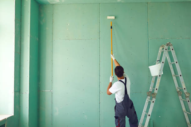 Best Attic Mold Removal  in Dunwoody, GA