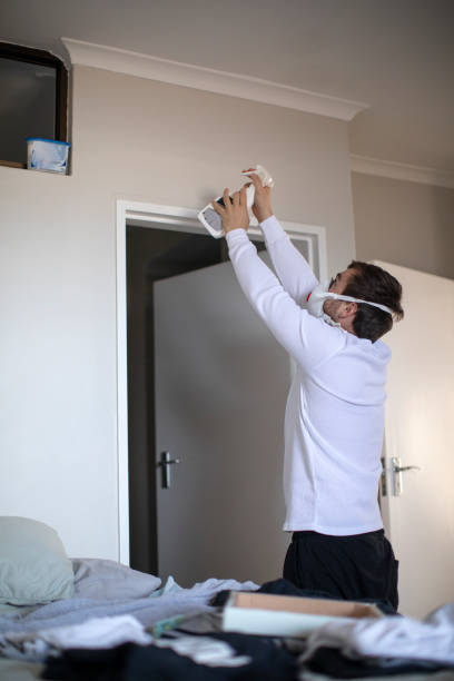 Best Mold Damage Restoration  in Dunwoody, GA