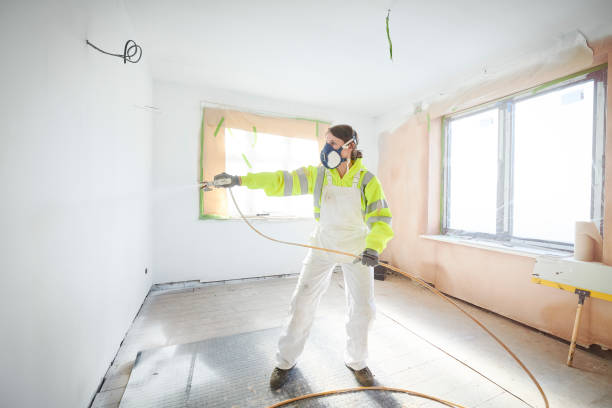 Professional Mold Removal in Dunwoody, GA
