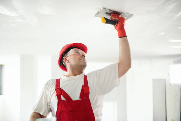 Best Mold Remediation for Healthcare Facilities  in Dunwoody, GA