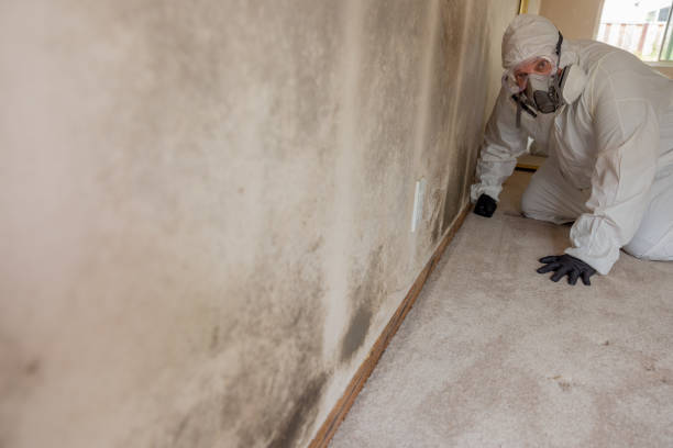 Best Air Quality Testing for Mold Spores  in Dunwoody, GA