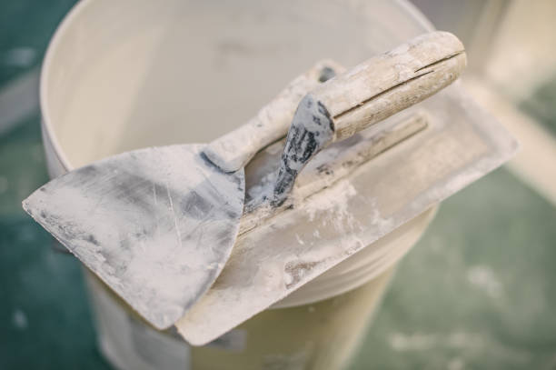 Best Biohazard Mold Removal  in Dunwoody, GA